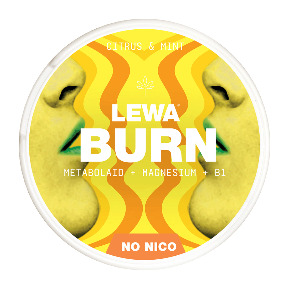 LEWA BURN CITRUS MINT